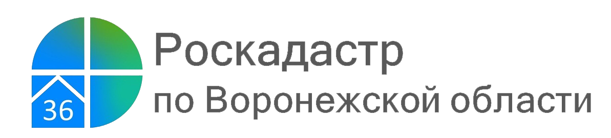 Региональный Роскадастр подвел итоги первого года работы.