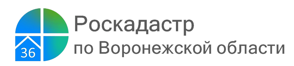 Сроки исправления ошибок в ЕГРН сокращены втрое.