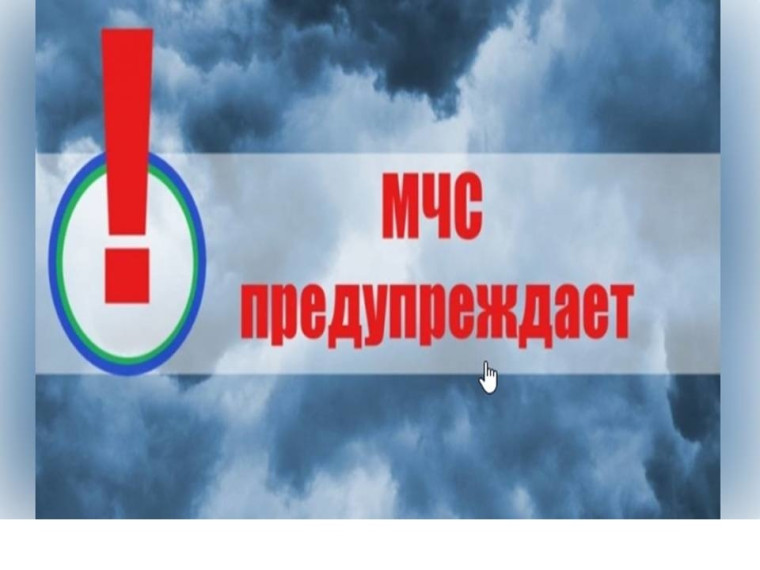 Информационное сообщение. Информационное сообщение.