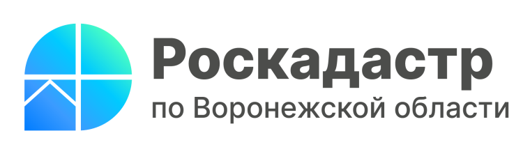 За полгода воронежцы заказали в 30 раз больше электронных выписок из ЕГРН, чем бумажных. За полгода воронежцы заказали в 30 раз больше электронных выписок из ЕГРН, чем бумажных.