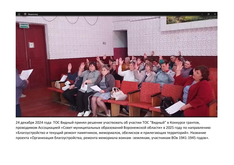 Собрание членов ТОС "Видный". Собрание членов ТОС "Видный".